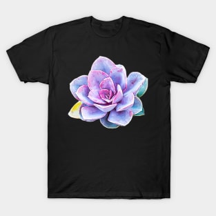 Succulent - Pastel Beauty T-Shirt